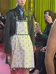 @MiuMiu via Instagram