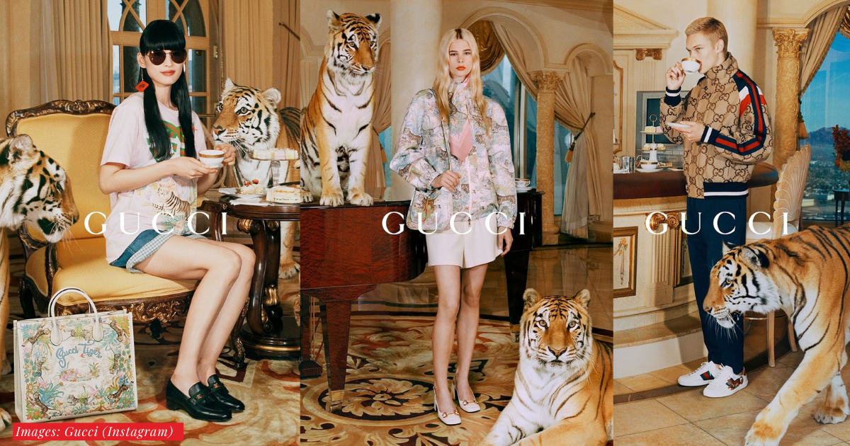 Gucci is under fire for using real tigers in ad campaign - Fashion Law Journal