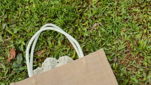 a brown bag sitting on top of a lush green field, green tardemarks, green tags
