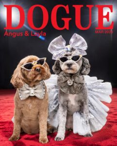 dogue