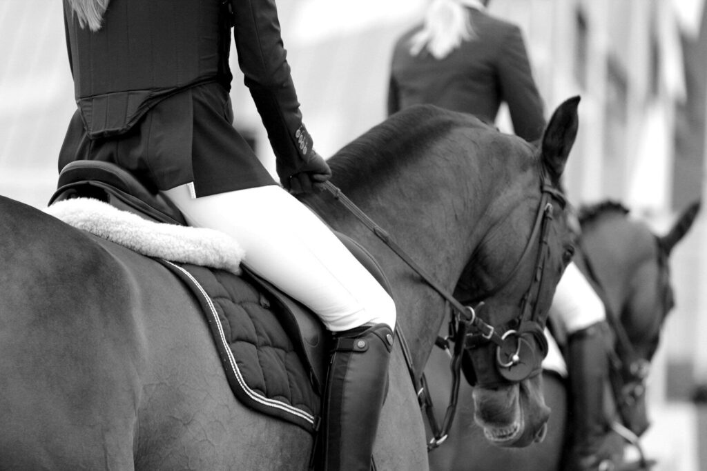 equestrian