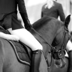 equestrian