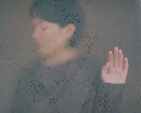INSIS