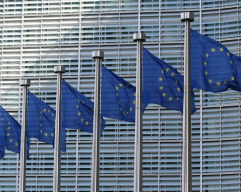 row of european union flags