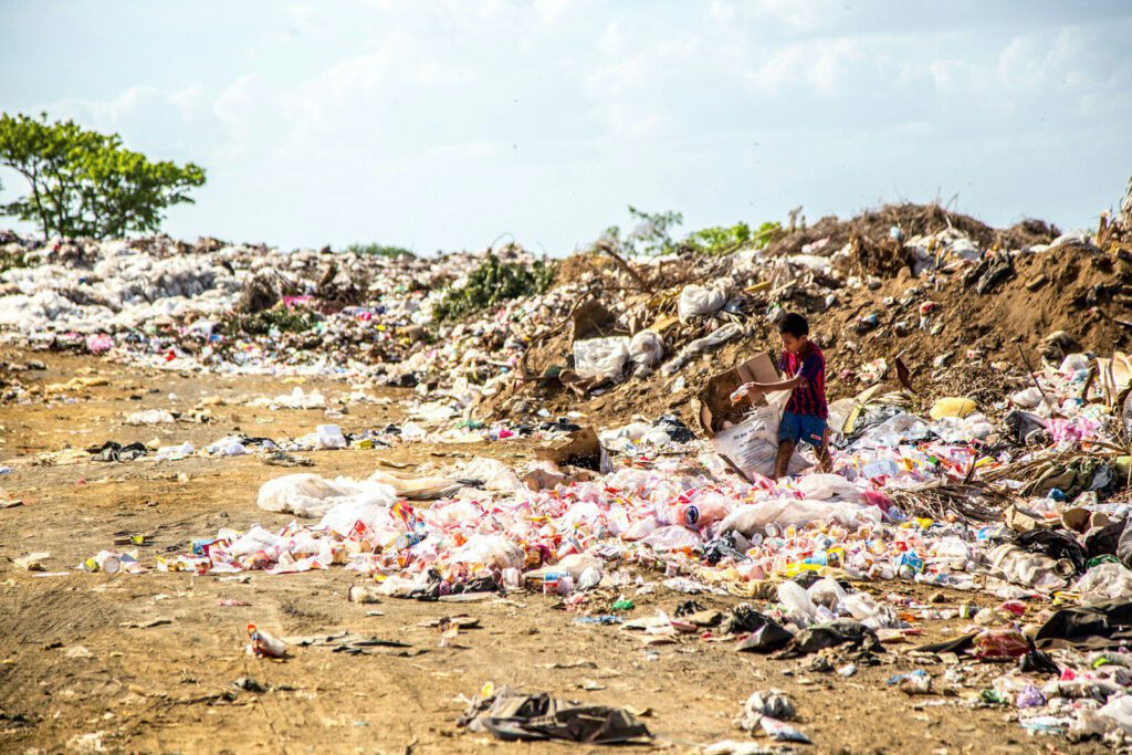 environmental impact