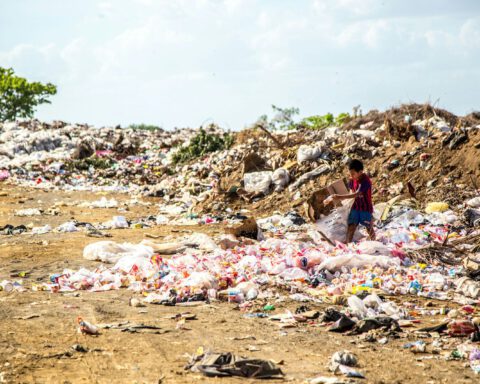 environmental impact