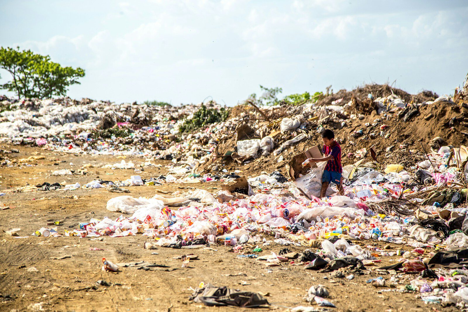 environmental impact